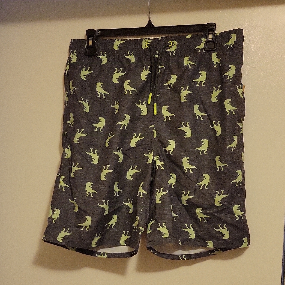 NWT: ThereAbouts Boys Dinosaur Swim Trunks